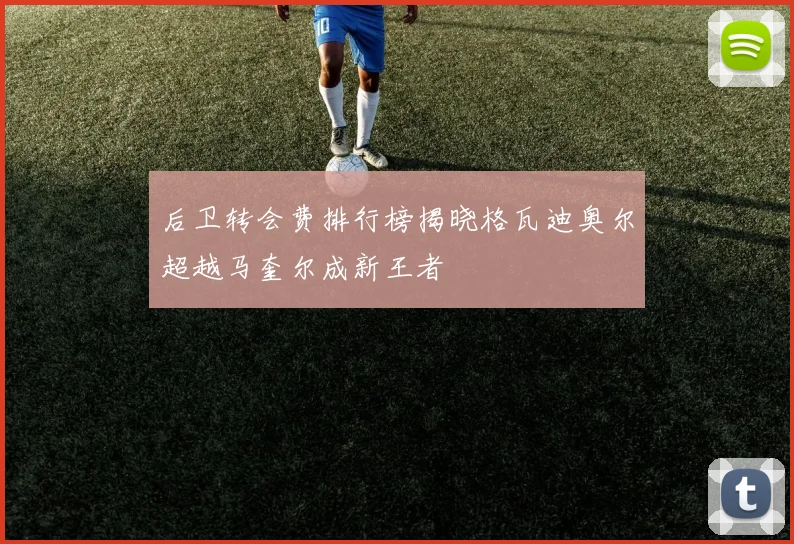 后卫转会费排行榜揭晓格瓦迪奥尔超越马奎尔成新王者